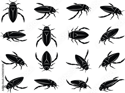 Black Back Swimmer Insect Silhouette Pattern Vector Illustration Set On Clean White Background Design