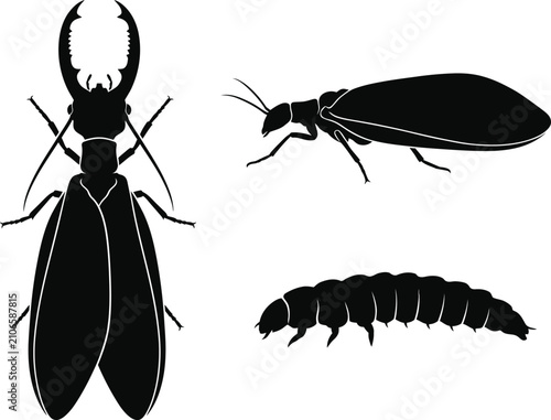 Black Dobsonfly Insect Silhouette Pattern Vector Illustration Set On Clean White Background Design