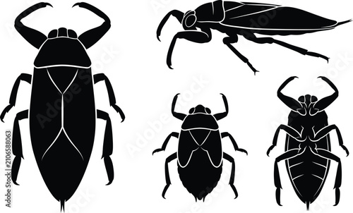 Black Giant Water Bug Silhouette Pattern Vector Illustration Set On Clean White Background Design