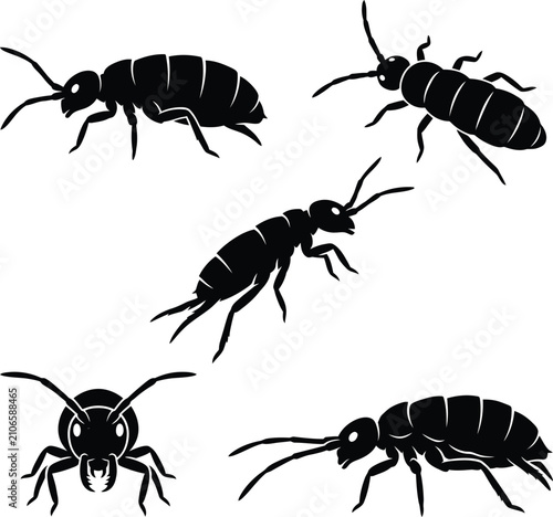 Full Black Water Springtail Insect Vector Silhouette Set Pattern On White Background Illustration