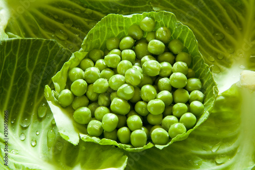 Tapety artystyczne fresh green peas