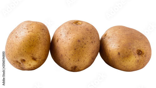 Fotografie Isolated raw potatoes, fresh whole organic vegetables ready for cooking or bakin