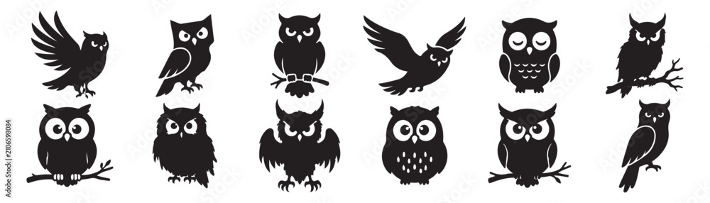 Fototapeta premium Owl Character Icon Pack – Nocturnal Bird and Woodland Animal Collection, EPS 10