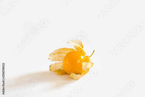 Foto physalis on white background
