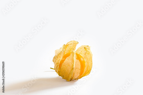 Quadro su tela physalis on white background