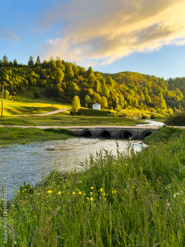 Obraz premium landscape with river