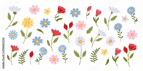 Foto Colorful Flowers Arrangement Flat Vector Illustration On White Background