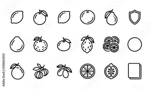Citrus fruits editable stroke line icon set vector