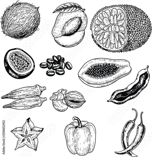 Hand drawn exotic fruits and vegetables sketch set