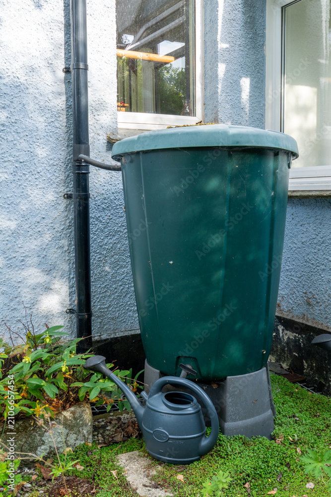 Obraz premium Rainwater barrel connected to downpipe diverter for sustainable garden water collection.