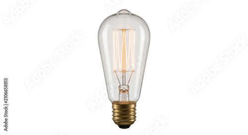 Bild auf Leinwand Vintage Edison light bulb with visible filament and brass base on white backgrou