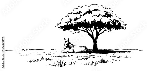 Foto Donkey resting under tree in field illustration domestic animal lying in shade r