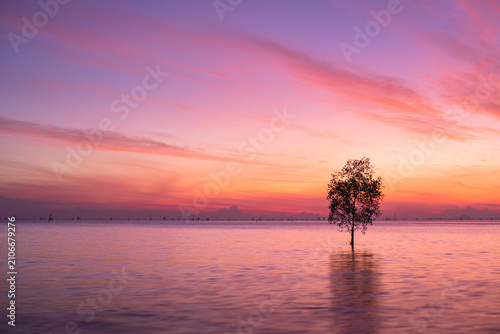 A lone tree stands in still water reflecting a vibrant pink and purple sunset sky