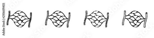 Foto Monochrome sketch capillaries icon design set