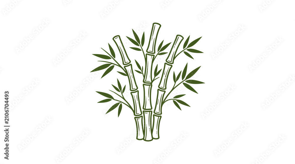 Obraz premium Green bamboo stalks with leaves on white background