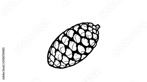 Quadro su tela Detailed black and white pine cone drawing.