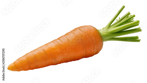 Obraz na płótnie Isolated fresh whole orange carrot with green leaves, healthy organic raw root v