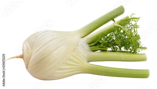Fotografía Isolated fresh fennel bulb with green stalks and feathery fronds, raw vegetable