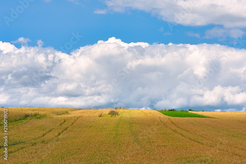 landscape with blue sky
