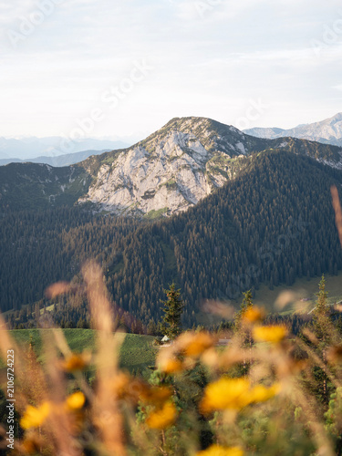 Cuadro en lienzo Bergblick