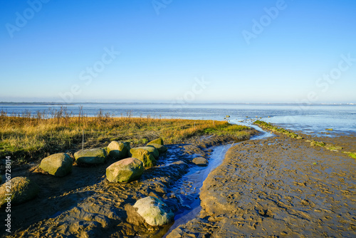 Fotografie View of the landscape by the beach near Dangast