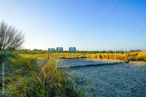 View of the landscape by the beach near Schillig. Coastal nature in North Frisia.
