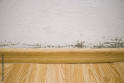 Mold on the wall. Mold and fungus growth on the wall. Ventilation and dampness problem in the house.