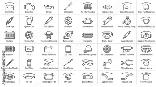 Collection of various office supplies.