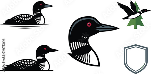 Bild auf Leinwand Common Loon Water Bird Mascot Vector Set with Loon Head Logo, Swimming Silhouett