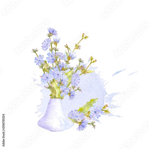 Hand drawn watercolor square composition with a bouquet of chicory flowers in a purple vase on an isolated background with watercolor stain. Simple clipart of summer botanical card with flowers
