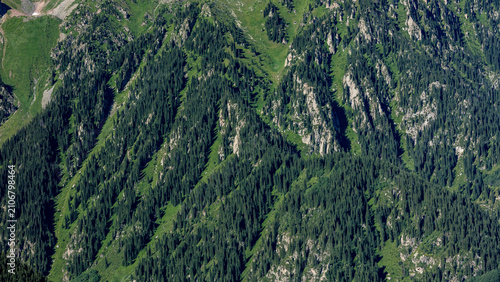 background of mountains and trees