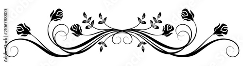 Ornament with rose flower. Text divider. Decorative element for decor and text greeting or invitation card design.