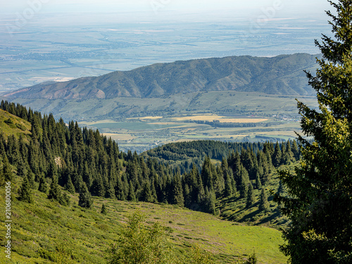 mountain landscape with trees and clouds