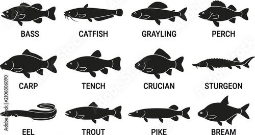 Fotografía Freshwater, fish, silhouettes, collection, including, bass, catfish, trout, pike