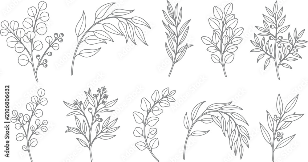 Fototapeta premium Hand drawn botanical branch set featuring various eucalyptus leaves and twigs in a simple black ink sketch style illustration