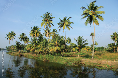 Konstfotografi Serene Kerala backwaters lined with lush coconut palms reflected in calm waters
