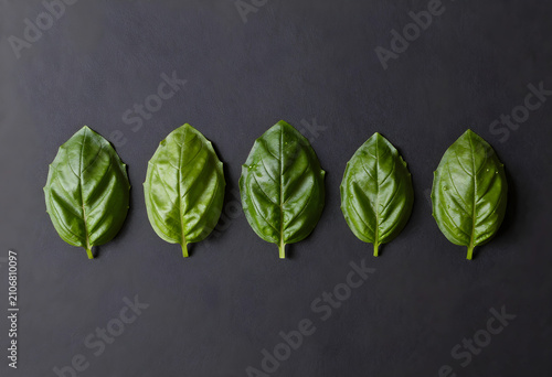 Five fresh green basil leav...