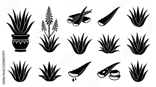 Aloe vera plant and skin care product silhouettes