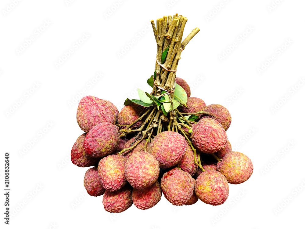 Fototapeta premium Fresh Lychee Bunch Isolated on transparent Background.