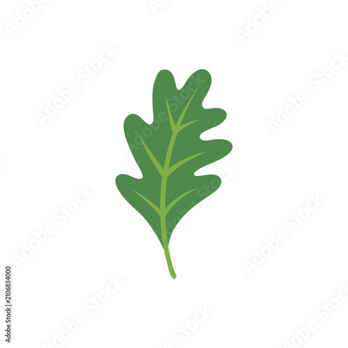 Green oak leaf illustration in a clean minimal style. Suitable for nature themes, forest graphics, botanical elements, ecology concepts, and seasonal designs. Cartoon style