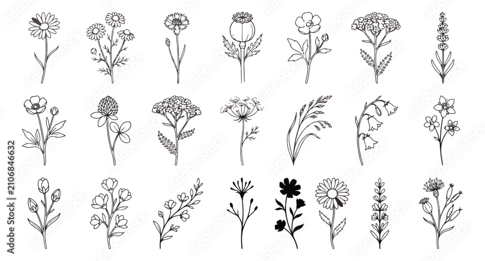 Fototapeta premium Minimalist wildflower line art collection, 21 botanical floral vector icons, hand drawn meadow herb and flower sketches for wedding invitations