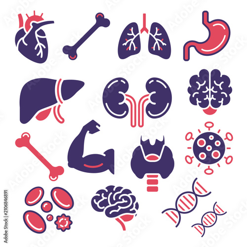 Human Anatomy Internal Organs Medical Two Tone Icon Set Vector