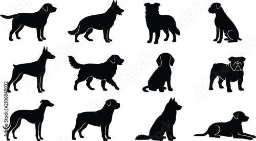 Quadro su tela Various dog breeds silhouette set featuring different shapes and sizes of cute domestic animals, vector