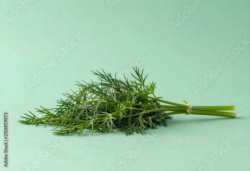 Fresh green dill herb bunch...