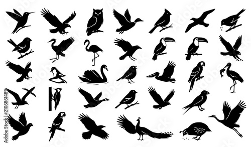 Foto Premium bird silhouette vector pack featuring flying perched songbirds raptors a