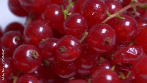 Close-up of fresh red currants on stems rotating on a white plate, showcasing their translucent, juicy berries and vibrant color under bright lighting.