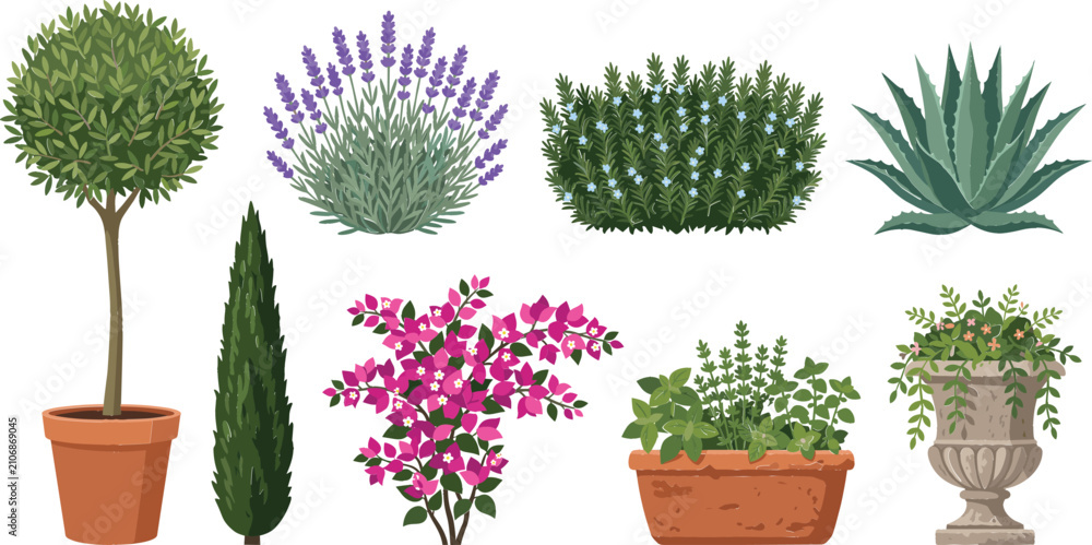 Fototapeta premium Mediterranean Garden Plants Set Featuring Topiary Olive Tree Lavender Bougainvillea Cypress and Potted Herbs Vector Illustration