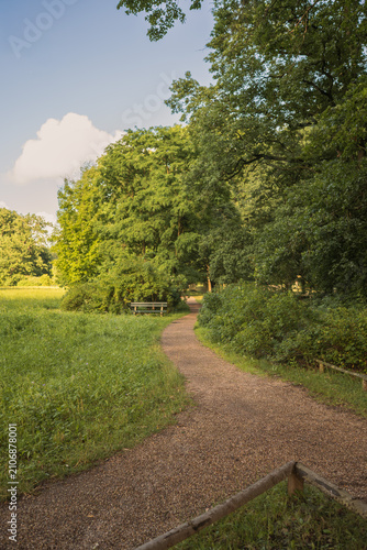 A winding gravel path through a green park with lush trees like oak (Quercus robur) and a wooden bench under a soft blue sky during summer day.