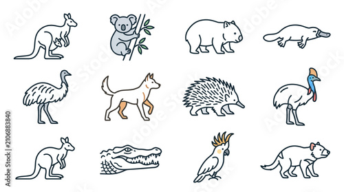 Foto Australian Wildlife Icons: Kangaroo, Koala, Platypus, Emu, Wombat, Cassowary, Co