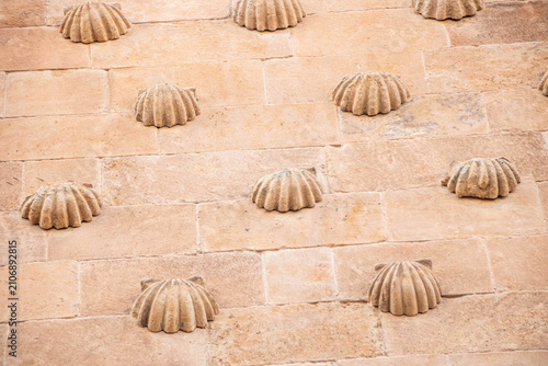 Abstract pattern of scallop shell carvings on sandstone wall, Casa de las Conchas, Salamanca